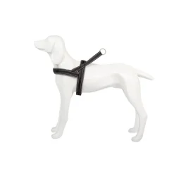 Freedog Shiva Sport Arnés M Gris 1 ud