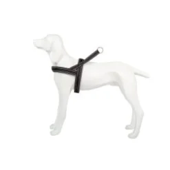 Freedog Shiva Sport Arnés para Perro Gris 54-64 cm