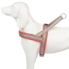 Freedog Shiva Sport Arnés Reflectante S 1 ud