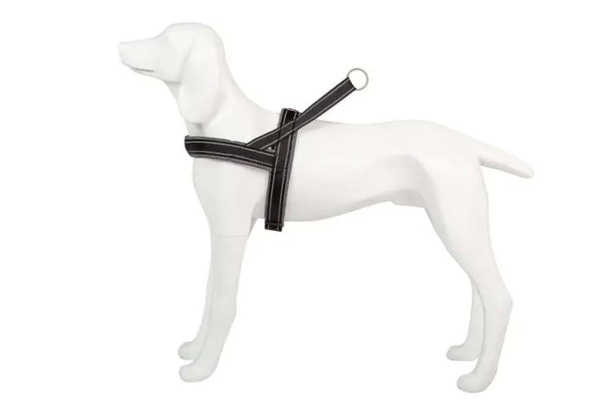 Freedog Shiva Sport Arnés XS 1 ud