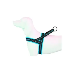 Freedog Soft Sport Arnés Turquesa 1 ud