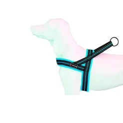 Freedog Soft Sport Arnés Turquesa 54-64cm