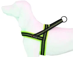 Freedog Soft-Sport Arnés T-XS Am Neon 1 ud