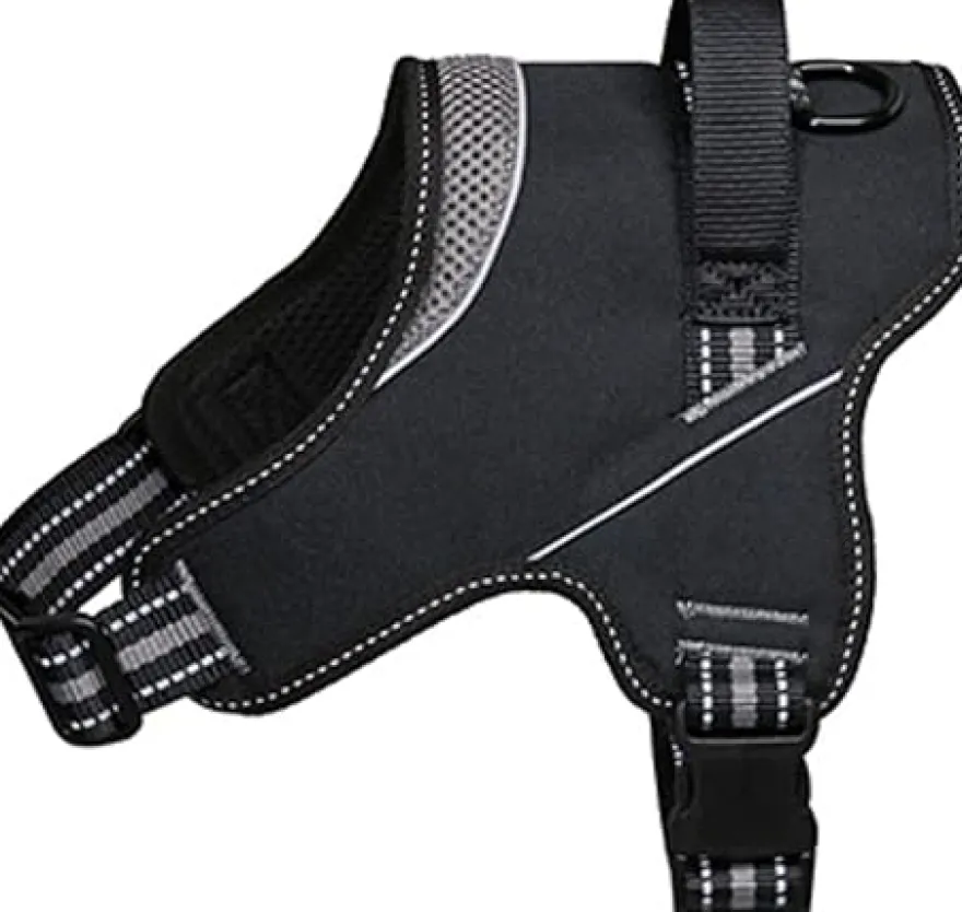 Freedog Strong Arnés Gris XS 1 ud