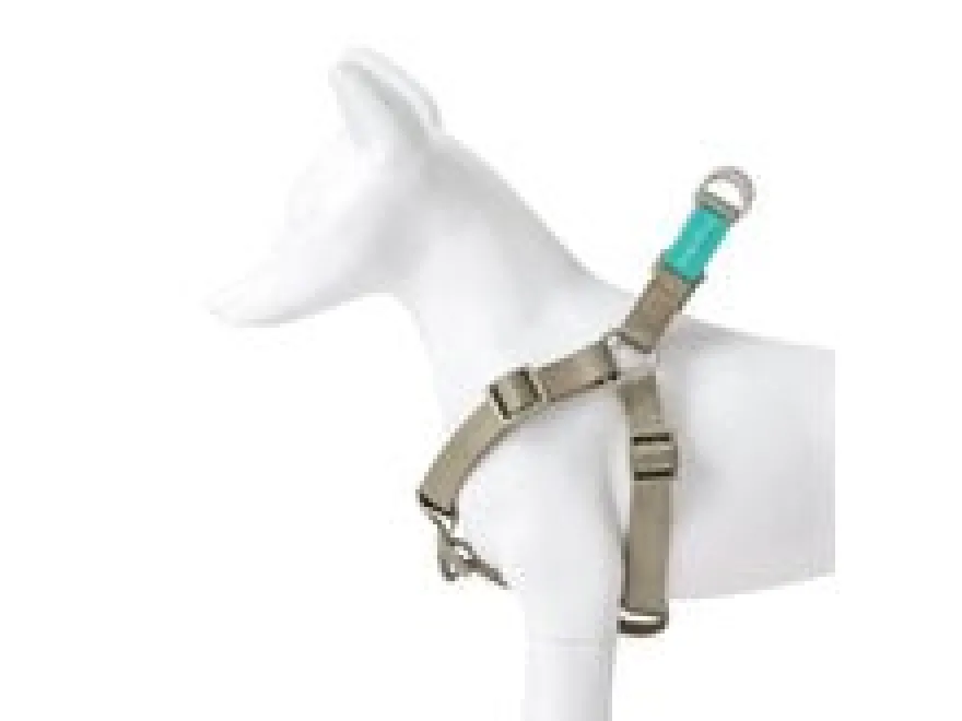 Freedog Strong Arnés Multicolor L 1 ud