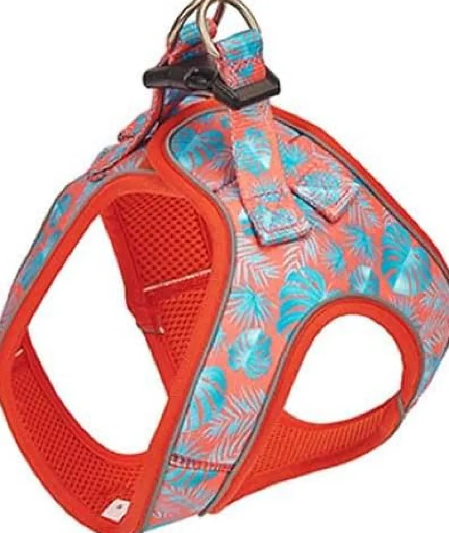 Freedog Tropical Coral Arnés T-S 100g