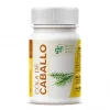 Ghf Cola de Caballo 500 mg 100 Comprimidos