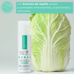 Green Cornerss Care Crema Facial de Repollo 50 ml