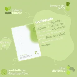 HEALN GutHealth Probióticos y Equilibrio Digestivo 60 Cápsulas