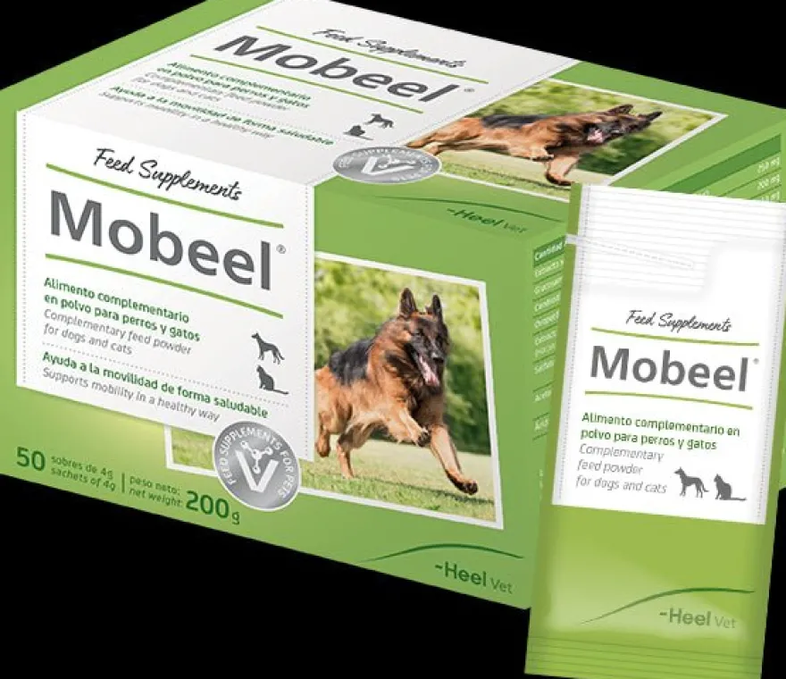 Heel Mobeel Condroprotector en Polvo 50 sobres de 4g