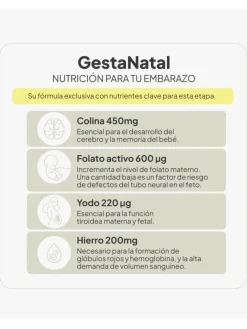 IVB Gestanatal Complemento Multivitamínico para Embarazo 60 cápsulas