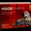 Jtpharma Vigor Pharma Suplemento Nutricional Comprimidos 60 ud