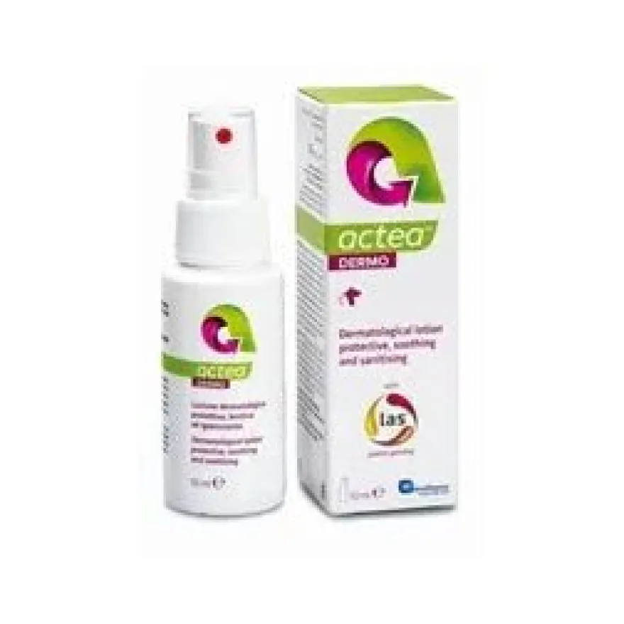 KimiVet Actea Oral Gel Estomatológico 15ml