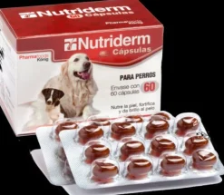 König Nutriderm Cápsulas Suplemento Alimenticio 60 ud