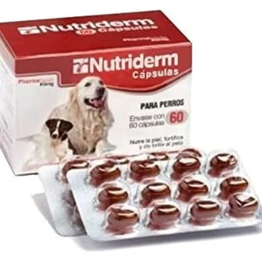 König Nutriderm Cápsulas Suplemento Alimenticio 60 ud