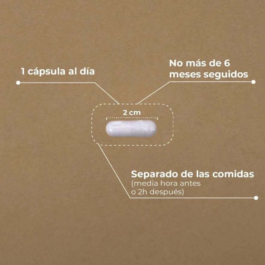 Kobho Labs Ácido Alfa-Lipoico 60 Cápsulas