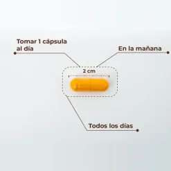 Kobho Labs Cúrcuma + Pimienta Negra 60 Cápsulas