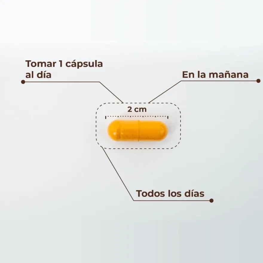 Kobho Labs Cúrcuma + Pimienta Negra 60 Cápsulas
