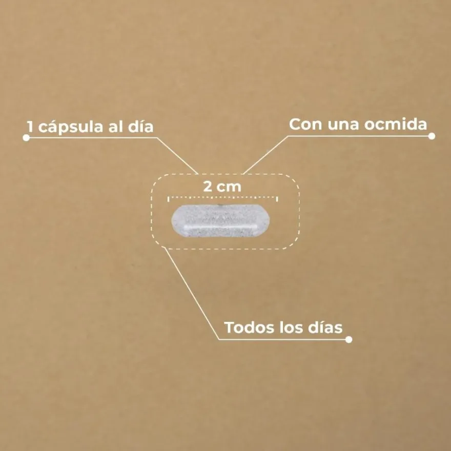 Kobho Labs Hair & Nail Booster 60 Cápsulas