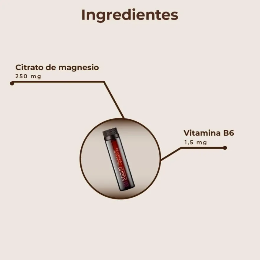 Kobho Labs Magnesio + Vitamina B6 20 Viales