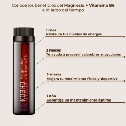 Kobho Labs Magnesio + Vitamina B6 20 Viales