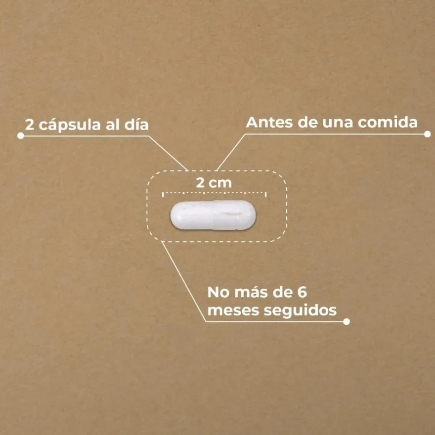 Kobho Labs Pre-Post Probiótico 90 Cápsulas