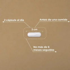 Kobho Labs Pre-Post Probiótico 60 Cápsulas