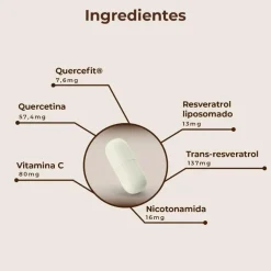 Kobho Labs Trans Resveratrol + Quercetina 60 Cápsulas