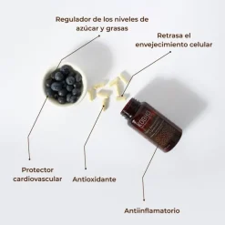 Kobho Labs Trans Resveratrol + Quercetina 60 Cápsulas