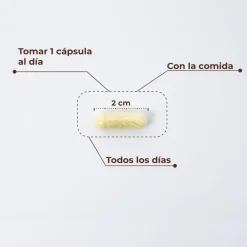 Kobho Labs Trans Resveratrol + Quercetina 60 Cápsulas