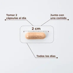 Kobho Labs W-Balance 60 Cápsulas