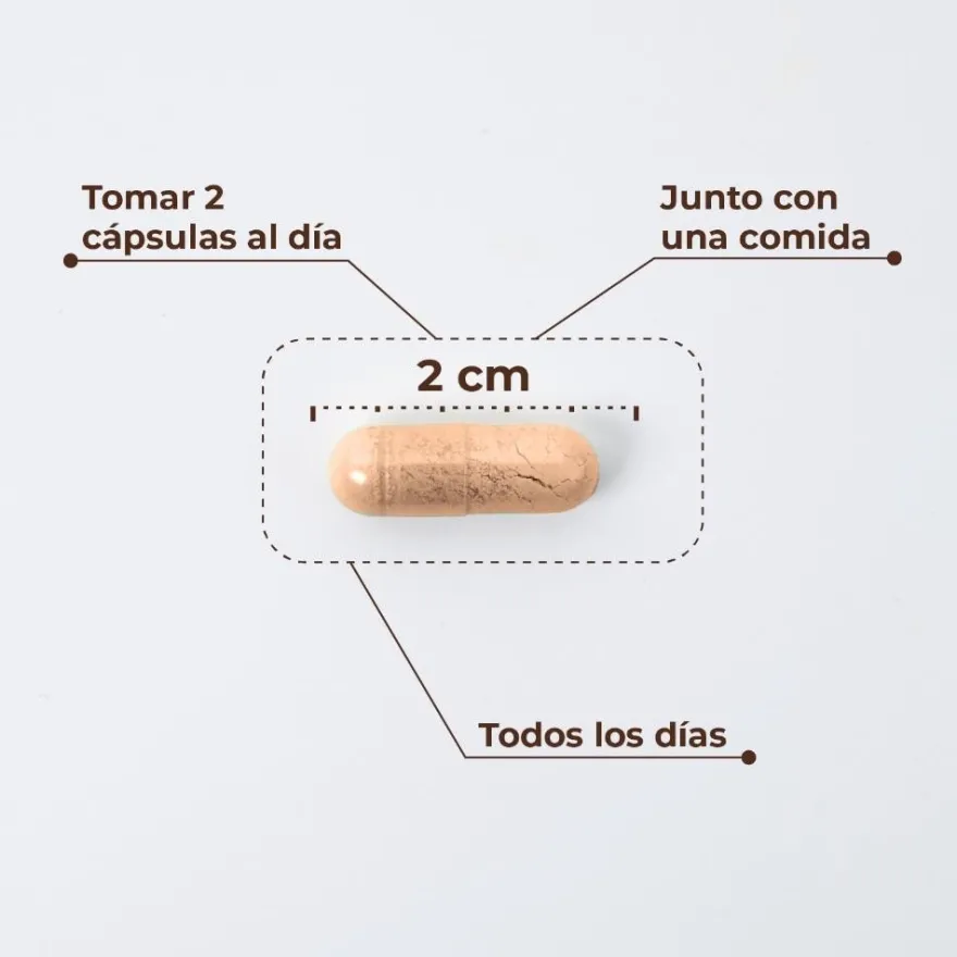 Kobho Labs W-Balance 60 Cápsulas
