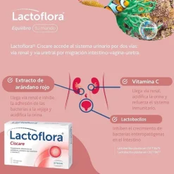 LACTOFLORA Ciscare Probiótico Arándano Rojo 30 caps + Protector Íntimo 20 caps
