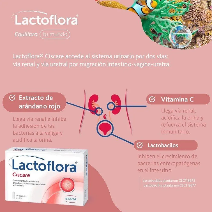 LACTOFLORA Ciscare Probiótico Arándano Rojo 30 caps + Protector Íntimo 20 caps