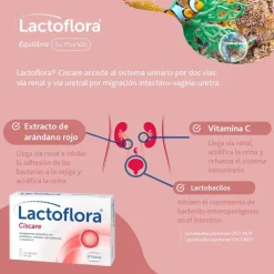 LACTOFLORA Ciscare Protector con Arándanos Molestias Urinarias 15 cápsulas