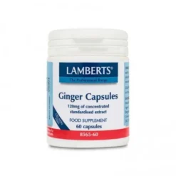 Lamberts Ginger Jengibre 60 Cápsulas