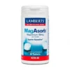 Lamberts MagAbsorb 60 Tabletas