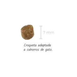 Lenda Gato Kitten Aves Y Pescado Grain Free 2Kg