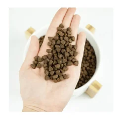 Lenda Gato Senior Sterilized Grain Free 2Kg