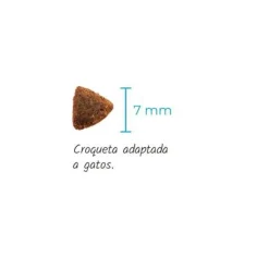 Lenda Gato Sensitive Sterilized Grain Free 2Kg