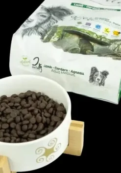 Lenda Perro Adulto Cordero 2Kg