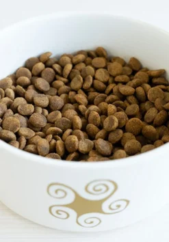 Lenda Perro Adulto Light 6Kg