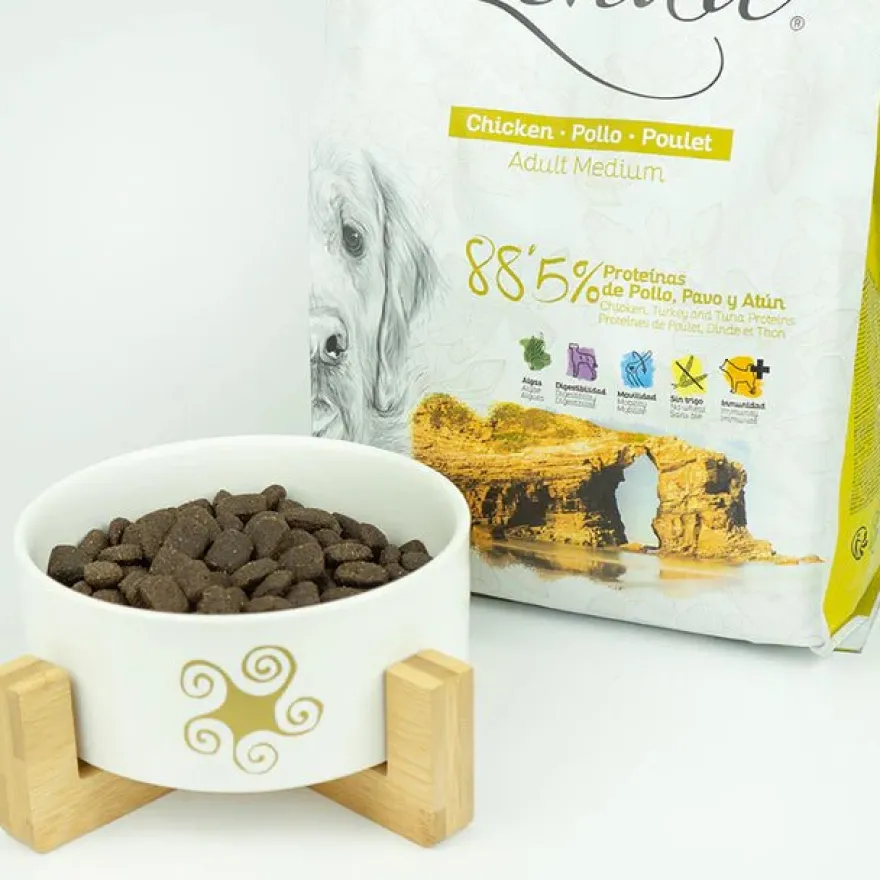 Lenda Perro Adulto Pollo 2Kg