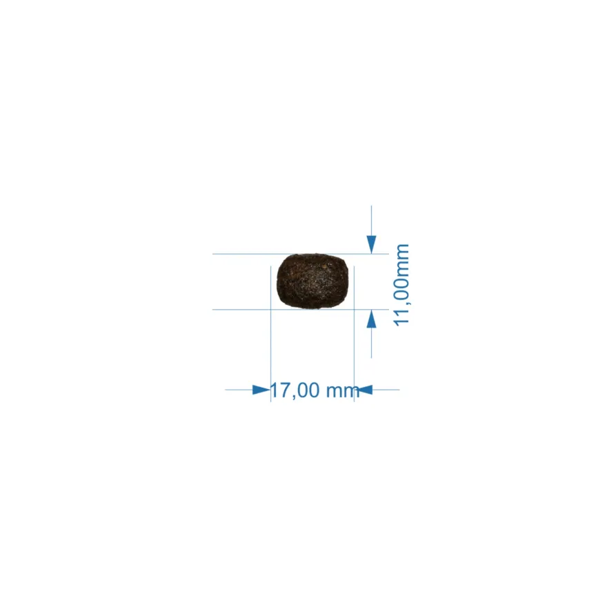 Lenda Perro Adulto Pollo 2Kg
