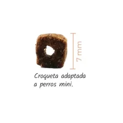 Lenda Perro Mini Atlantic Pescado Azul 2Kg