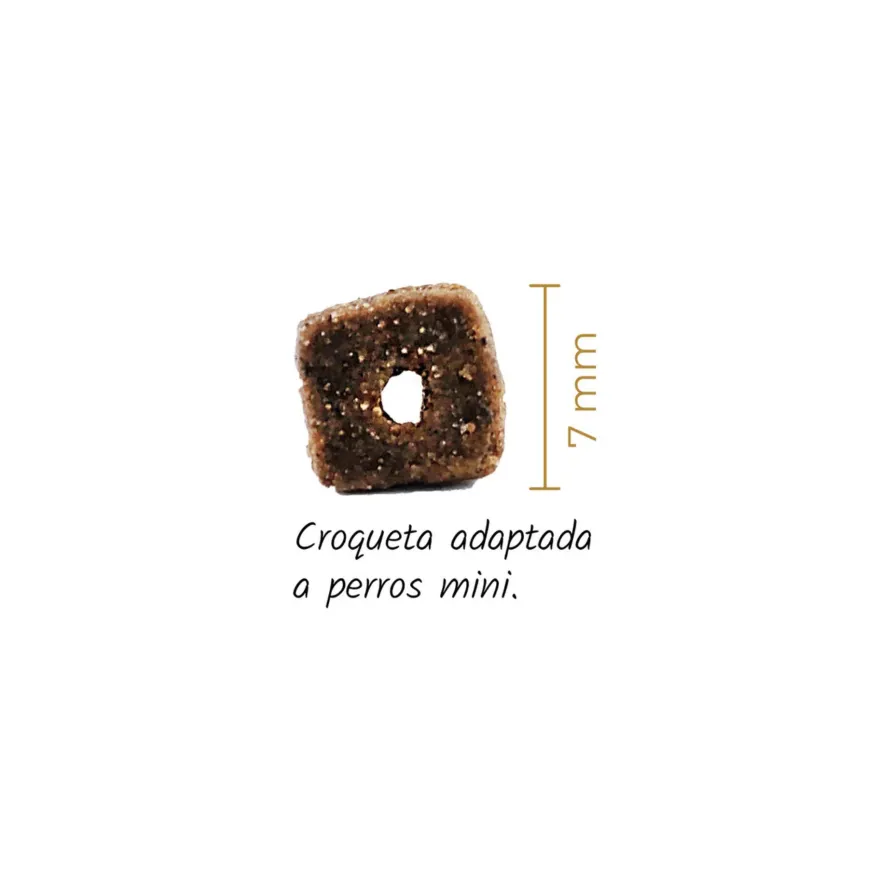 Lenda Perro Mini Carne Y Pescado 2Kg