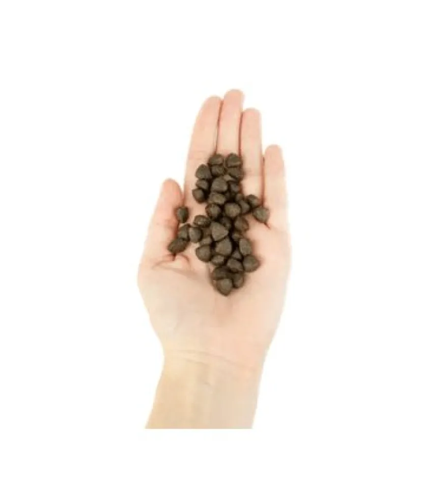 Lenda Perro Puppy 2Kg