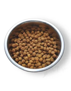 Lenda Unico Perro Puppy 2Kg