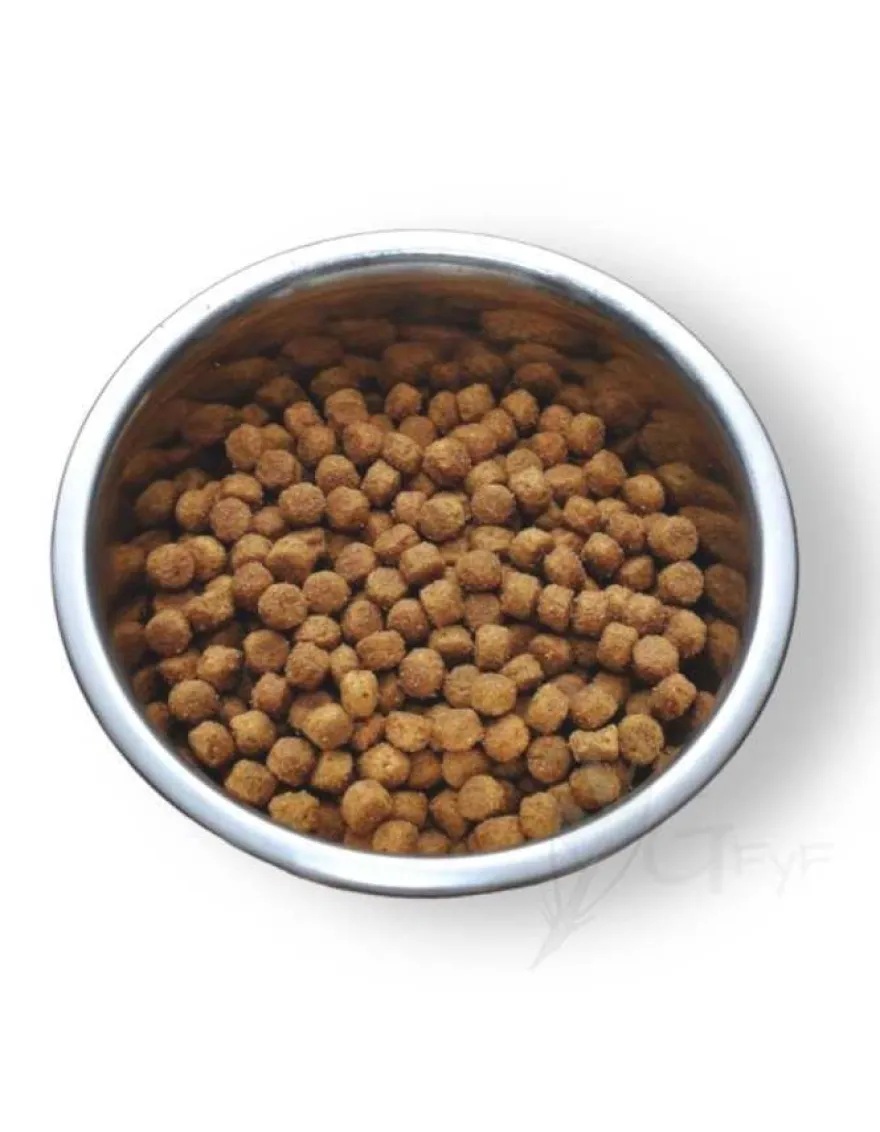 Lenda Unico Perro Puppy 2Kg