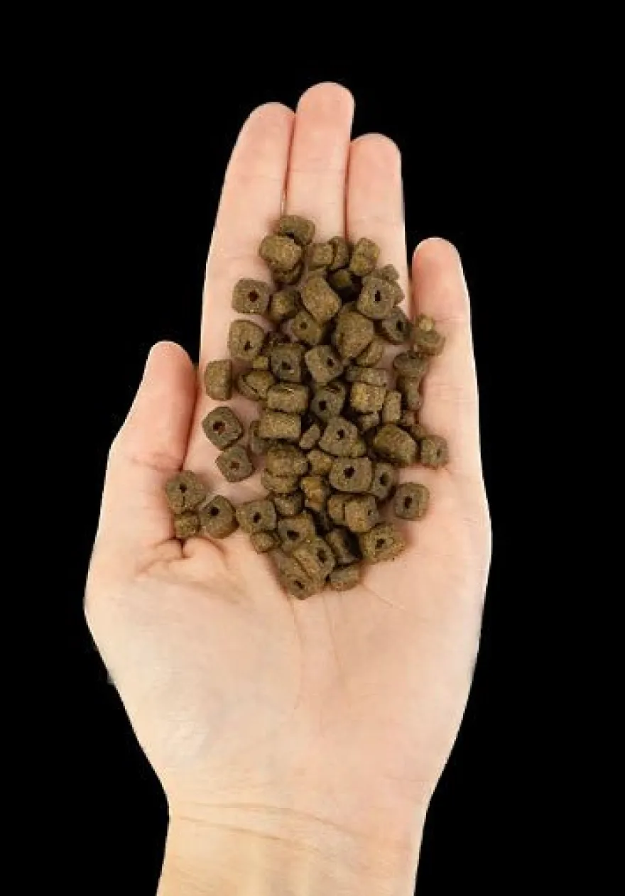 Lenda Urban Perro Marine Flavour 2Kg
